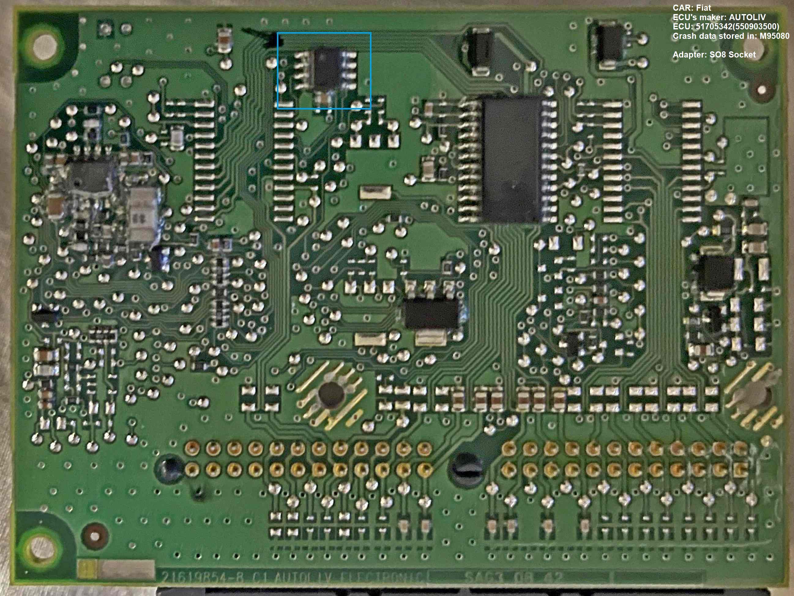 51705342(550903500).jpg