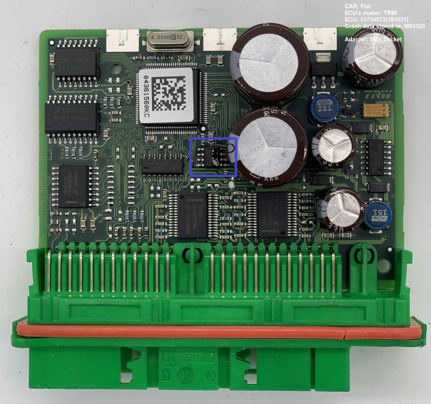51754872(391031).JPG